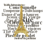 Noms français