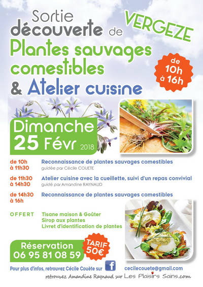 découverte de Plantes sauvages comestibles & Atelier cuisine
