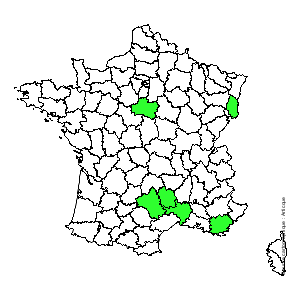 Chorologique de la flore de France