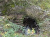 Puits à marches des Fangettes
