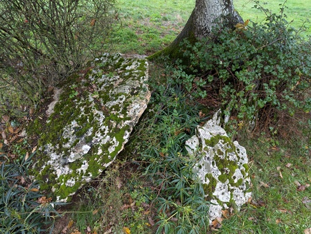 Dolmen de Lestang (A)