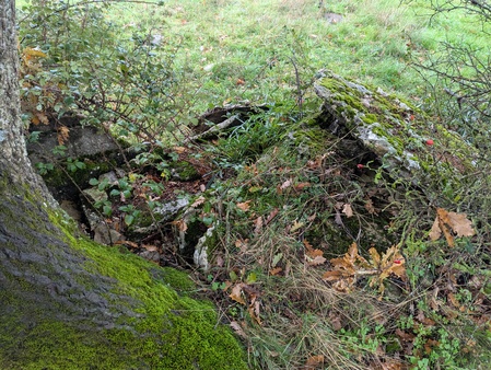 Dolmen de Lestang (A)