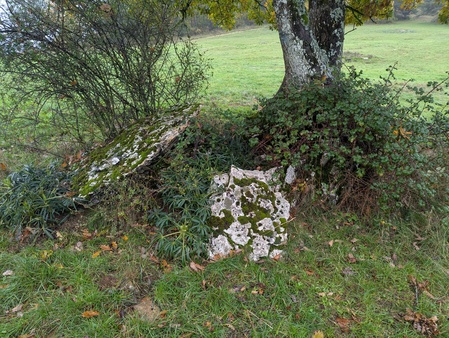Dolmen de Lestang (A)