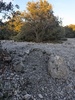 Tombe ovale de Boussargues