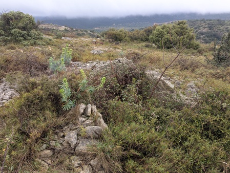 Dolmen de la Croix de l'Yeuse (B)