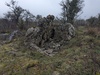 Dolmen des Rocquets