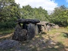 Allée couverte dite la Grotte aux Fées