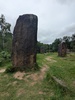 Menhirs de Monteneuf