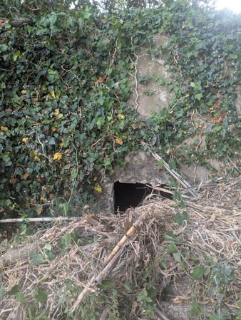 Bunker Bunker