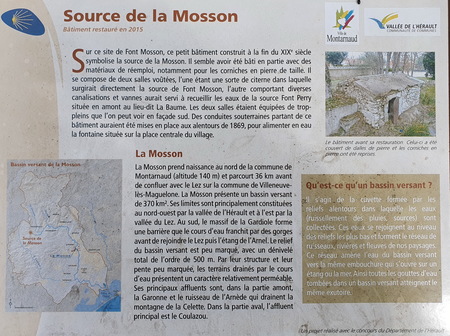 Source de la Mosson