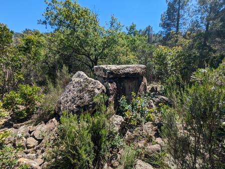 Dolmen de la Bruyère d'Usclas
