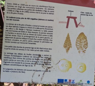 Dolmen de la Bruyère d'Usclas