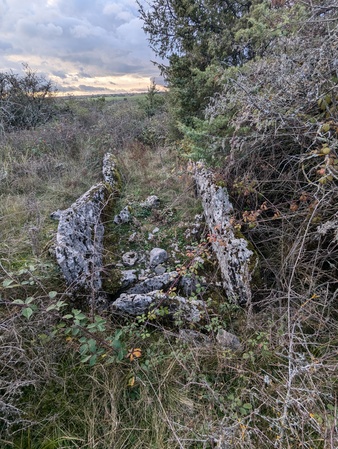 Dolmen de Campeyroux Dolmen de Campeyroux