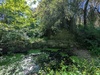 Moulin à eau