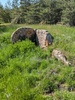 Dolmen de la Prade