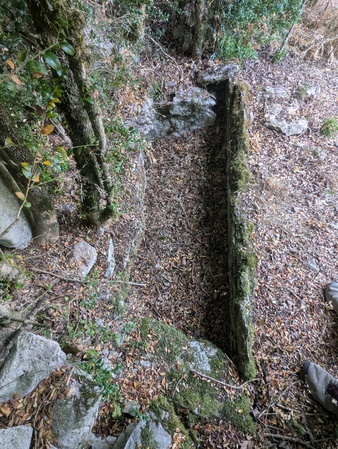 Dolmen de Caumels Dolmen de Caumels